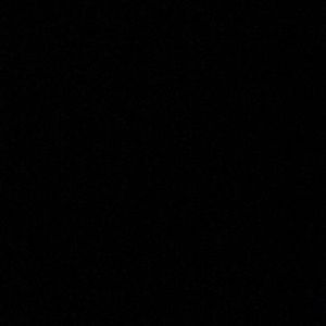 Meet your Posher, Leia